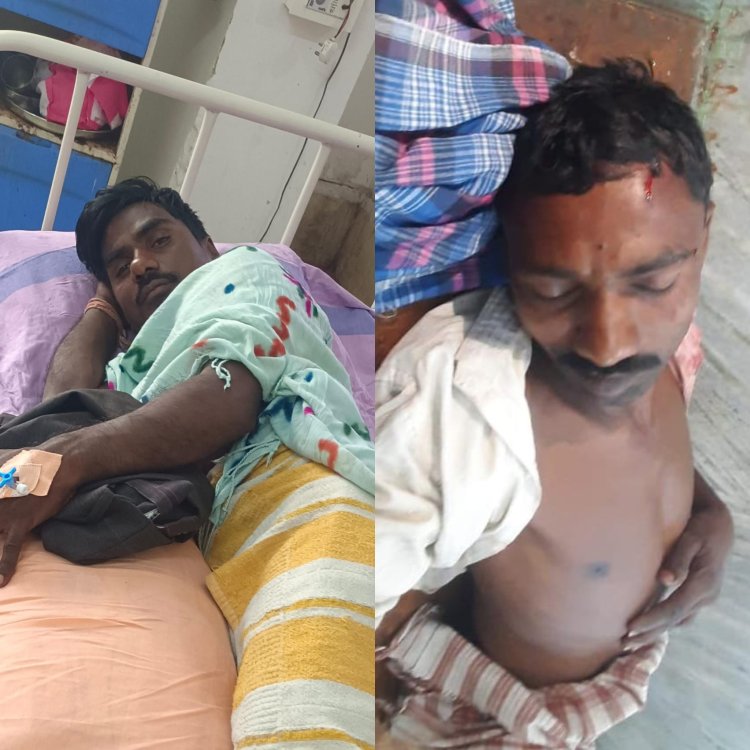 तेंदूपत्ता तोड़ने गए ग्रामीणों पर भालू ने किया हमला,घायलों का उपचार जारी