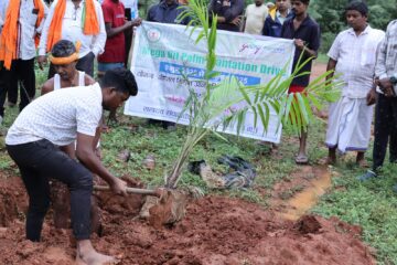 रायगढ़ में ऑयल पॉम की खेती की ओर बढ़े कदम, किसानों को होगा दुगुना लाभ