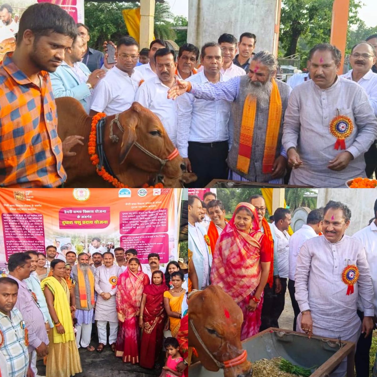 आदिवासी महिलाओं को आत्मनिर्भर बनाने 75 दुधारू गायें वितरित