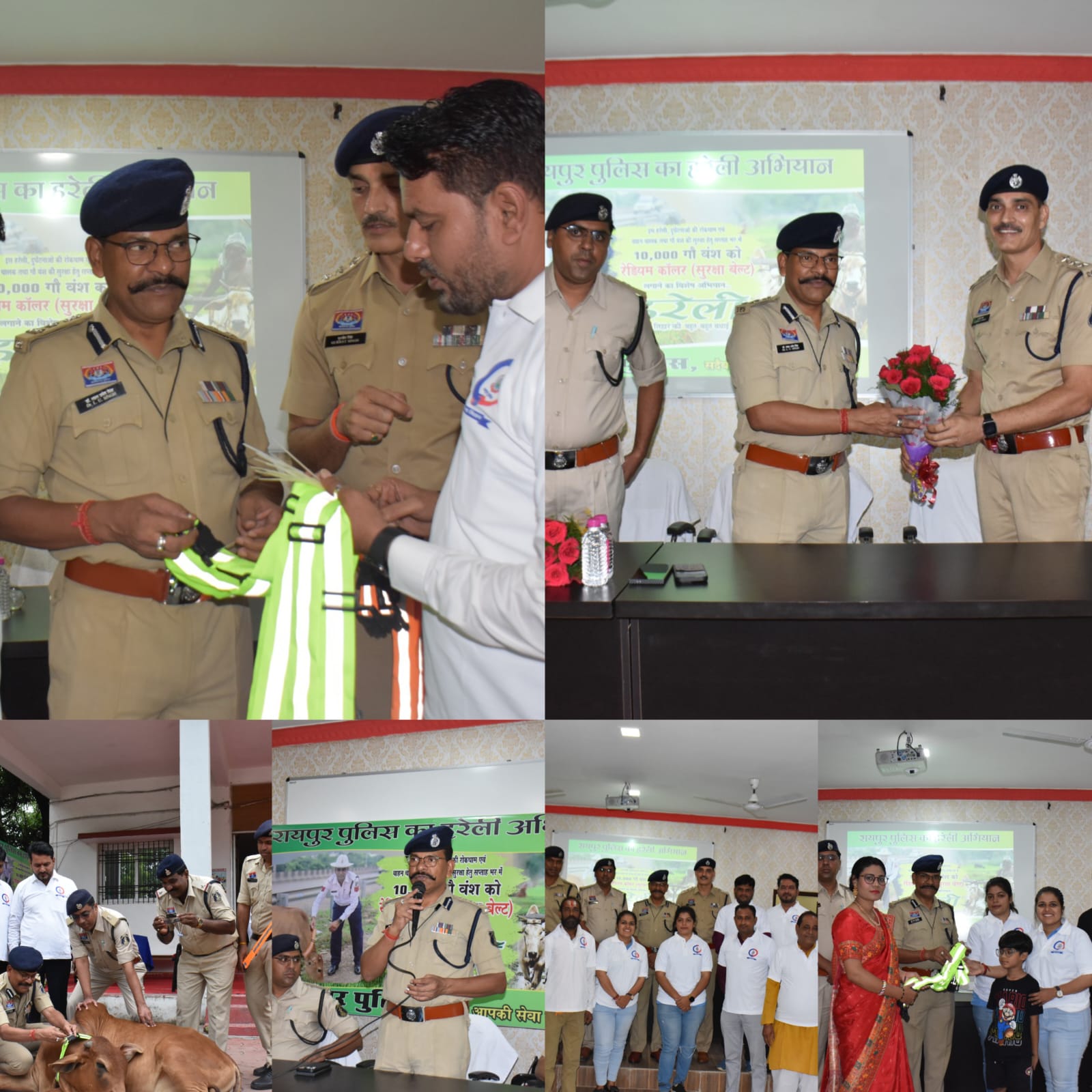 हरेली पर रायपुर पुलिस की अनोखी पहल, मवेशियों को पहनाए जा रहे रेडियम कॉलर बेल्ट