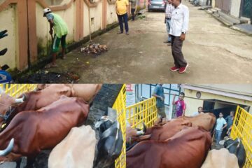 गंदगी फैलाने पर डेयरी सील, निगम सीमा से बाहर हटाया गया