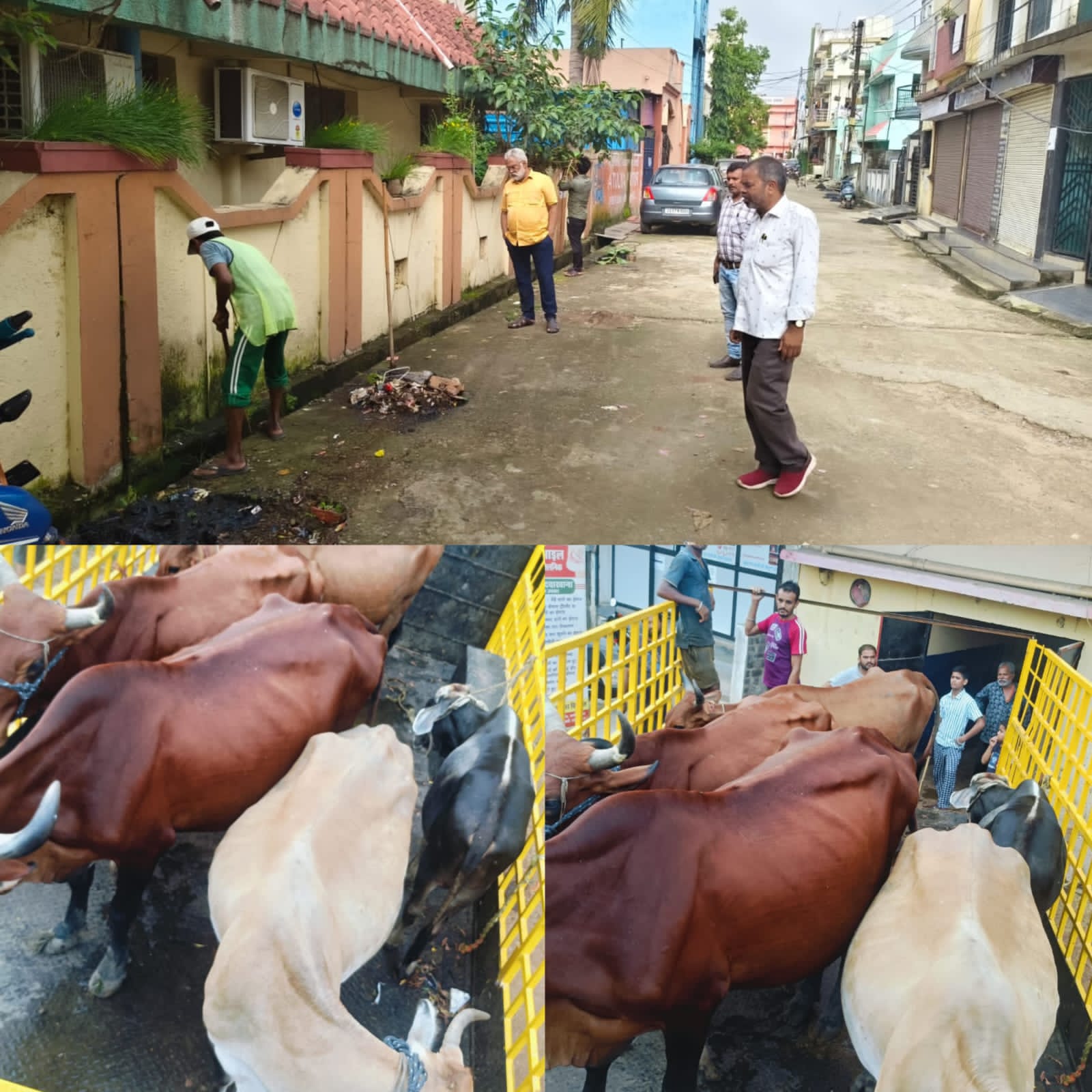 गंदगी फैलाने पर डेयरी सील, निगम सीमा से बाहर हटाया गया