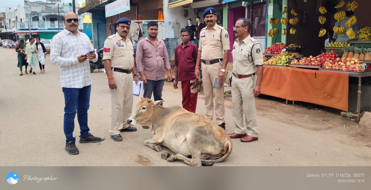 सड़क हादसों पर लगाम: डोंगरगांव पुलिस की सख्ती, दो पशु मालिकों पर एफआईआर